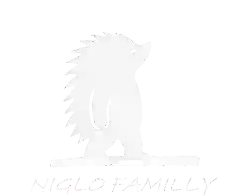 Logo Niglo Familly