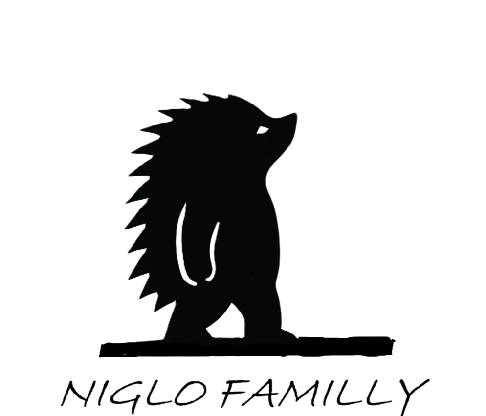 Logo Niglo Familly